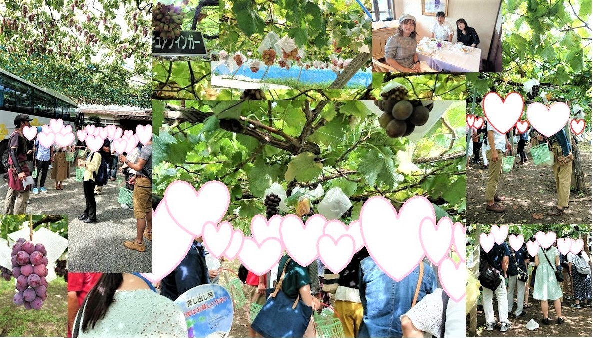 ぶどう狩りの様子
