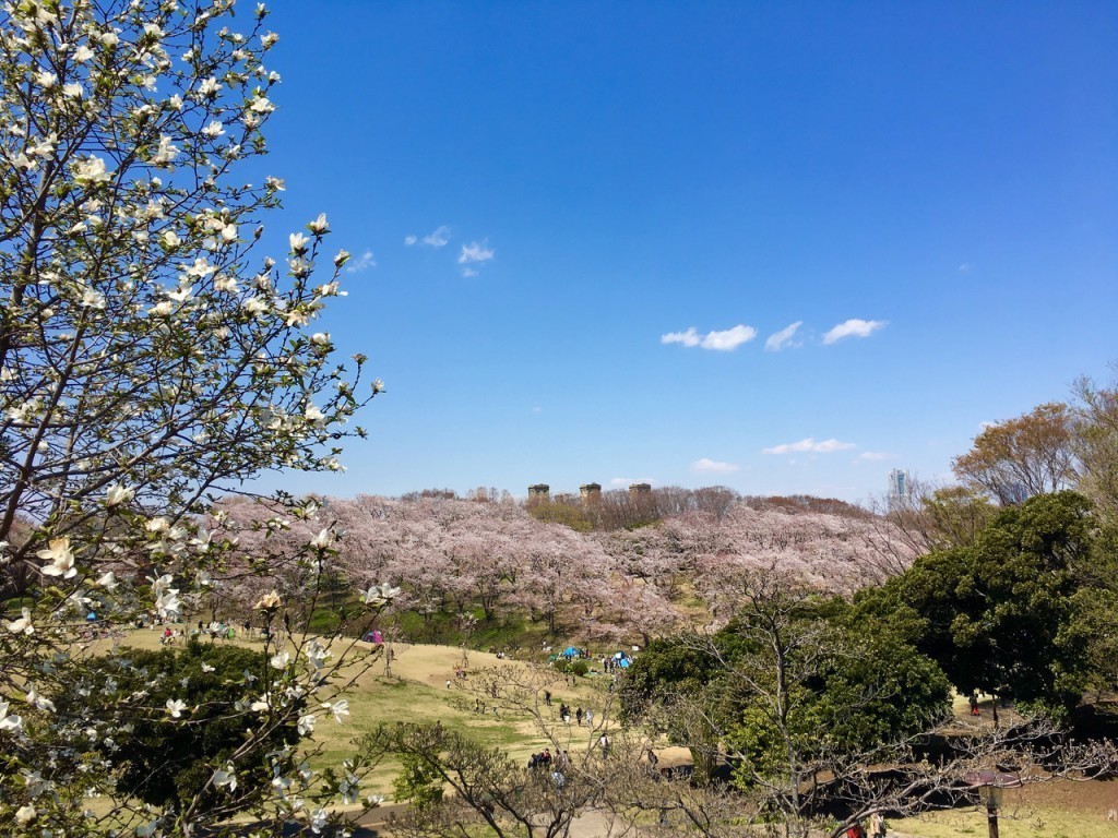 根岸森林公園