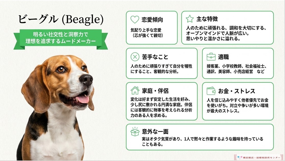 ビーグル