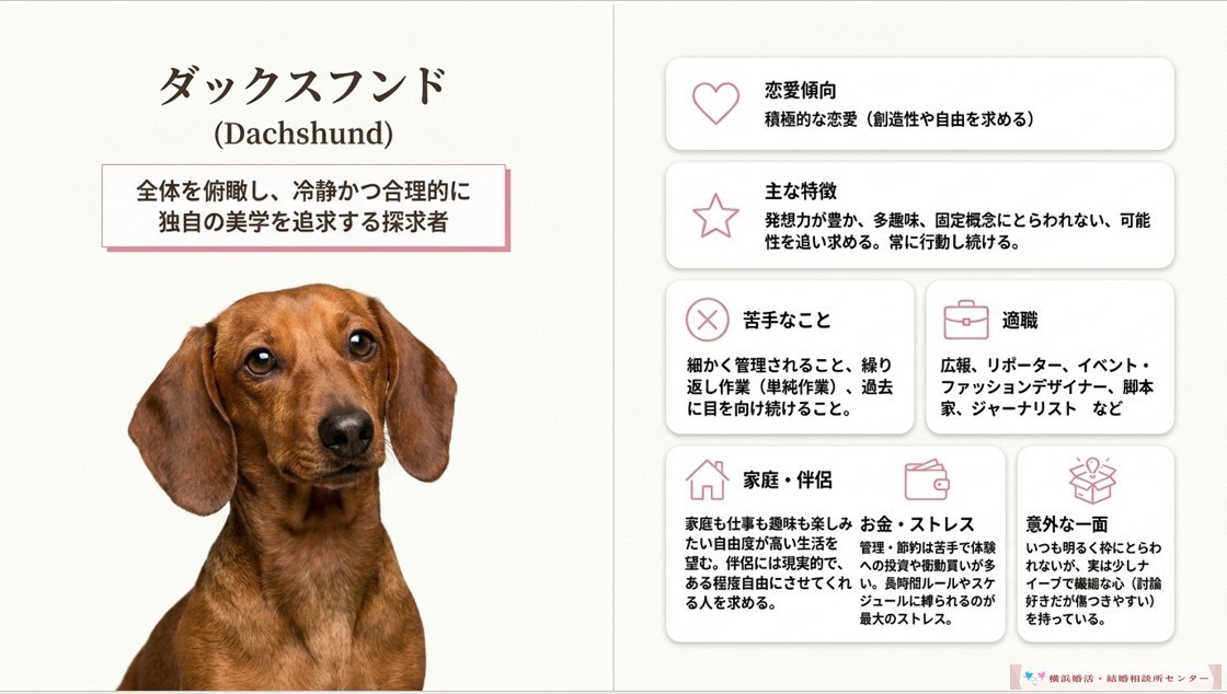 ダックスフンド
